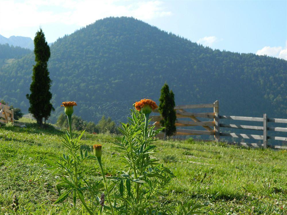Nobillis - Carpathian Residence Peştera Zewnętrze zdjęcie