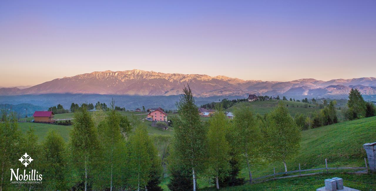 Nobillis - Carpathian Residence Peştera Zewnętrze zdjęcie